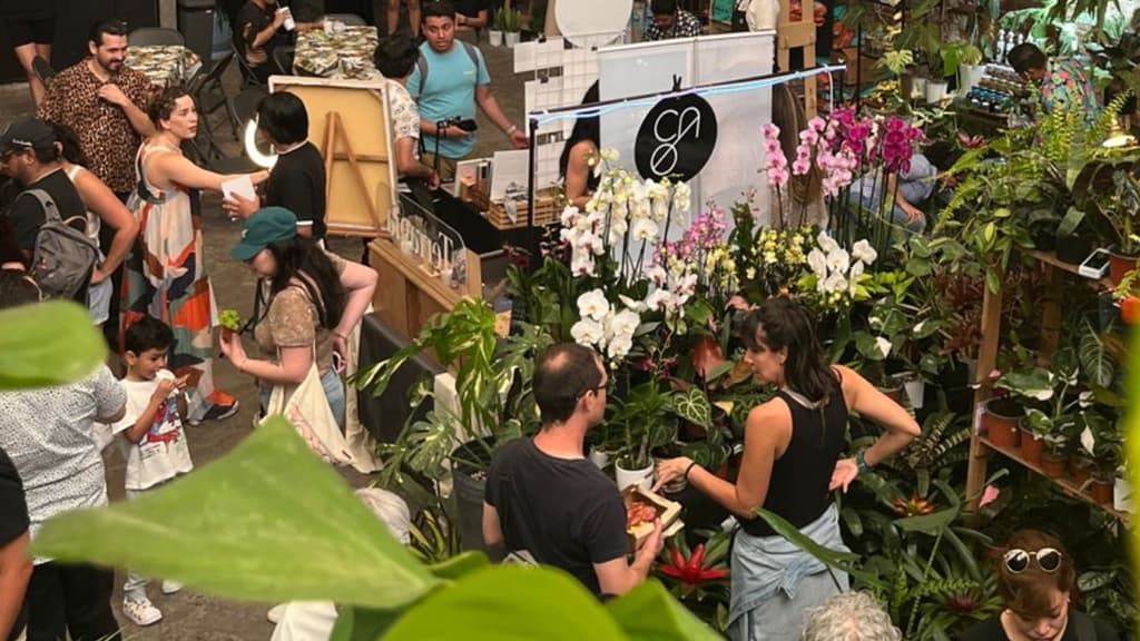 Casa Botánica: Pop up de plantas en CDMX