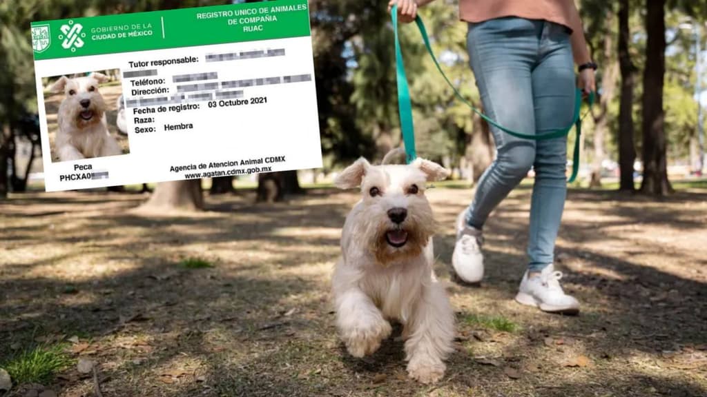 ¿Hay fecha límite par tramitar el RUAC y multa por no tenerlo?