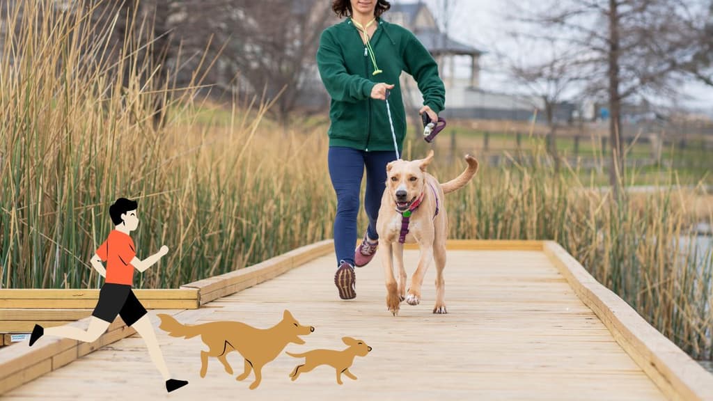 Lomitos en Acción 2025: la carrera más perrona del año llega al Bosque de Aragón | Liz Basaldúa