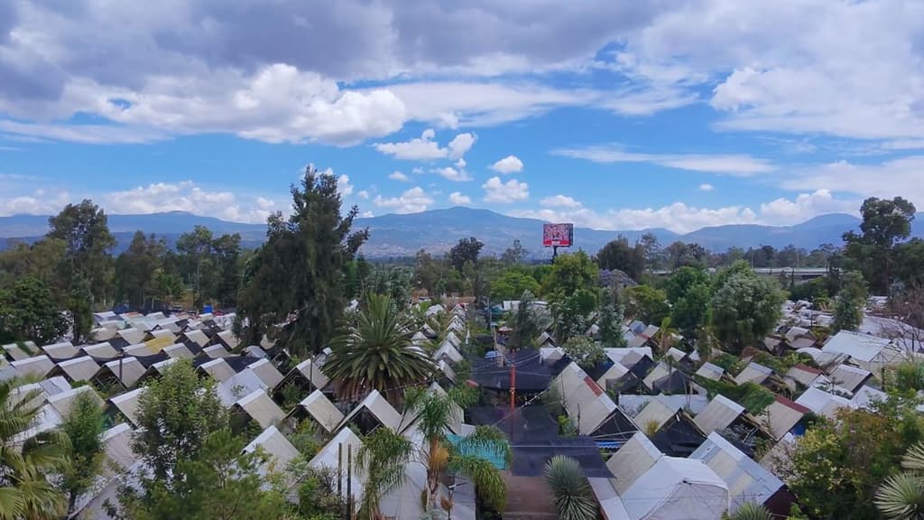 Dónde comprar plantas bonitas y baratas en CDMX: Cuemanco es el paraíso | Liz Basaldúa