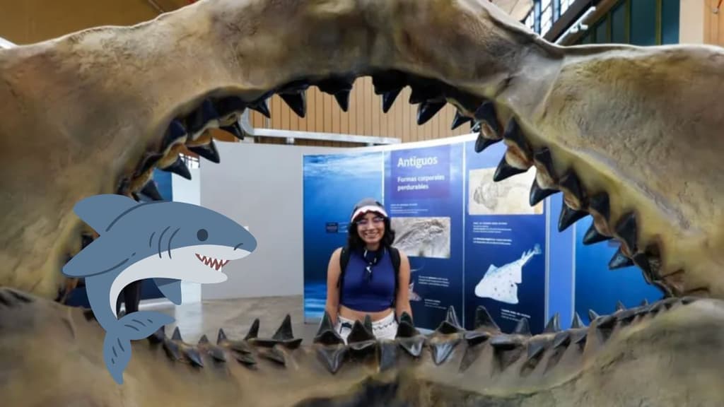 Lánzate a esta expo de tiburones GRATIS en Iztapalapa