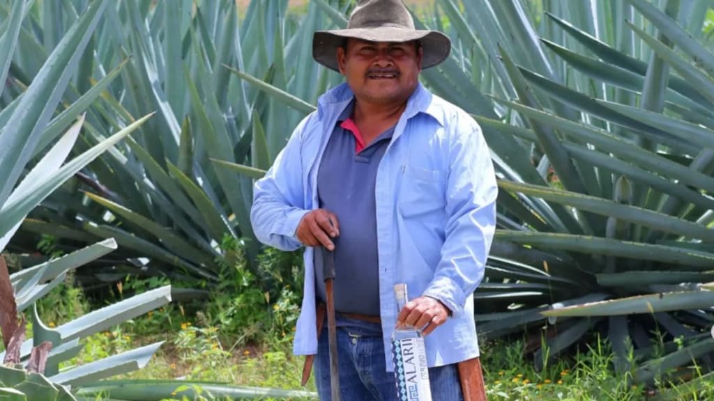 Festival Raíces Ancestrales 2025