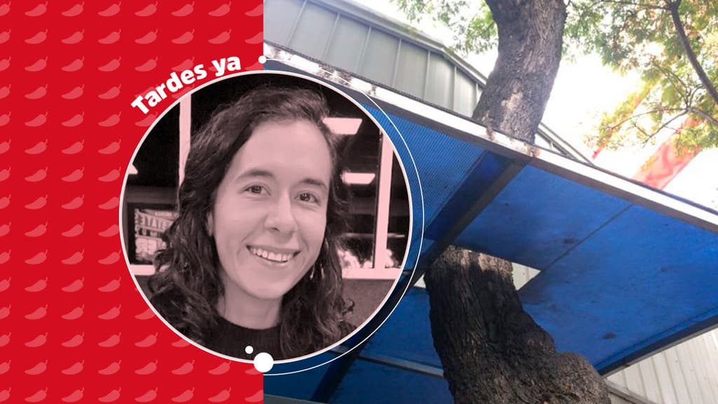Tardes ya: Estamos hablando de árboles