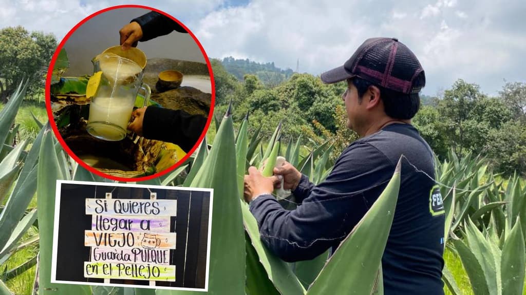 Tlachiquero, oficio de productor de pulque en CDMX