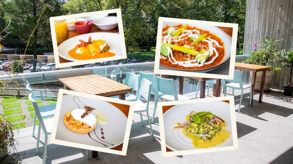 Tierra Cocina Viva, restaurante oculto en CU.