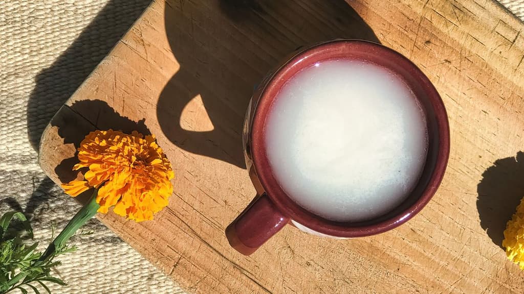 ¿Pulque gratis y ciencia? La UNAM arma la fiesta del 'Néctar de los Dioses' en el Jardín Botánico | Foto: Lizeth Basaldúa