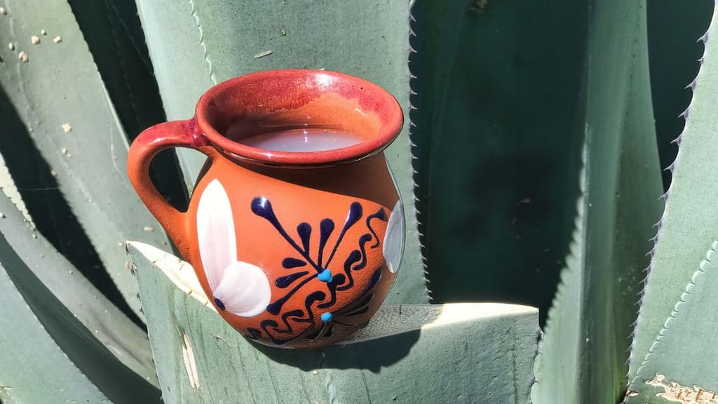 Día del Pulque en la UNAM