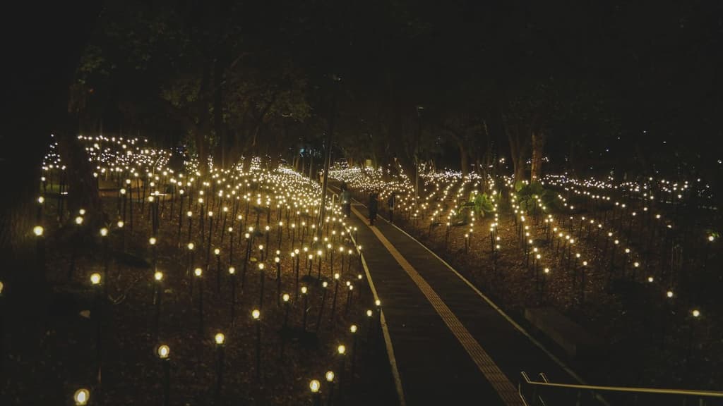 Jardín de corazonadas, obra de la exposición Jardín Inconcluso del Museo de Arte Moderno de CDMX.