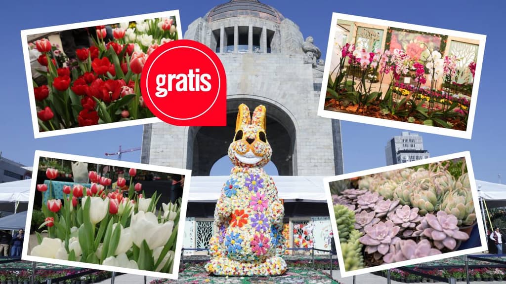 Festival de Flores de Primavera en CDMX