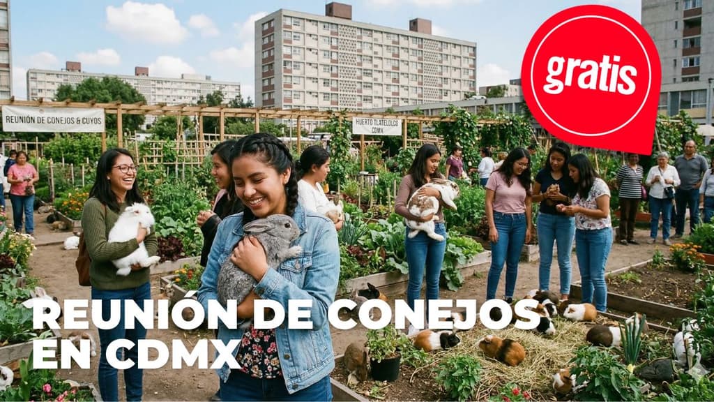 Lánzate a la reunión de conejos y cuyos en la CDMX: habrá bazar, snacks y convivencia