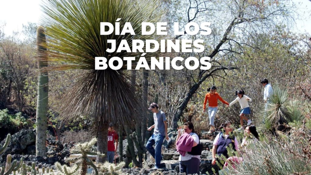Lánzate al Jardín Botánico de la UNAM: tendrá talleres, yoga, conciertos y más; ¿cuándo?