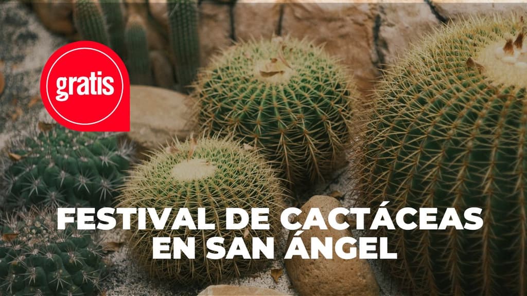 Festival de las Cactáceas GRATIS en San Ángel: plantas, talleres y más 🌵