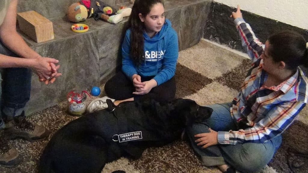 terapeutas caninos animales de compañía