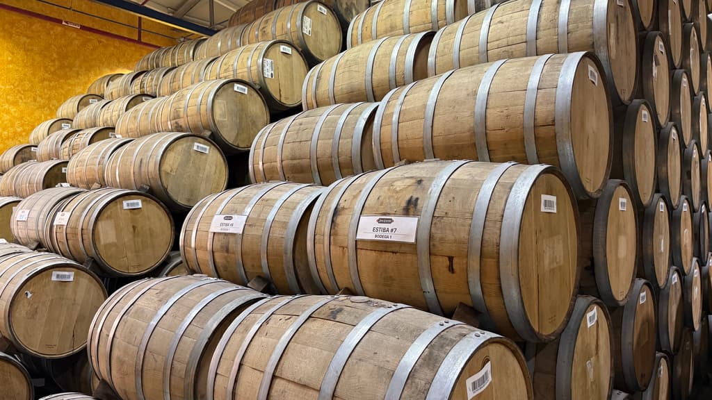 barricas de tequila