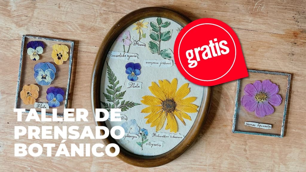 Aprende a crear tu propio herbario en este taller gratuito en CDMX: cuándo y dónde es