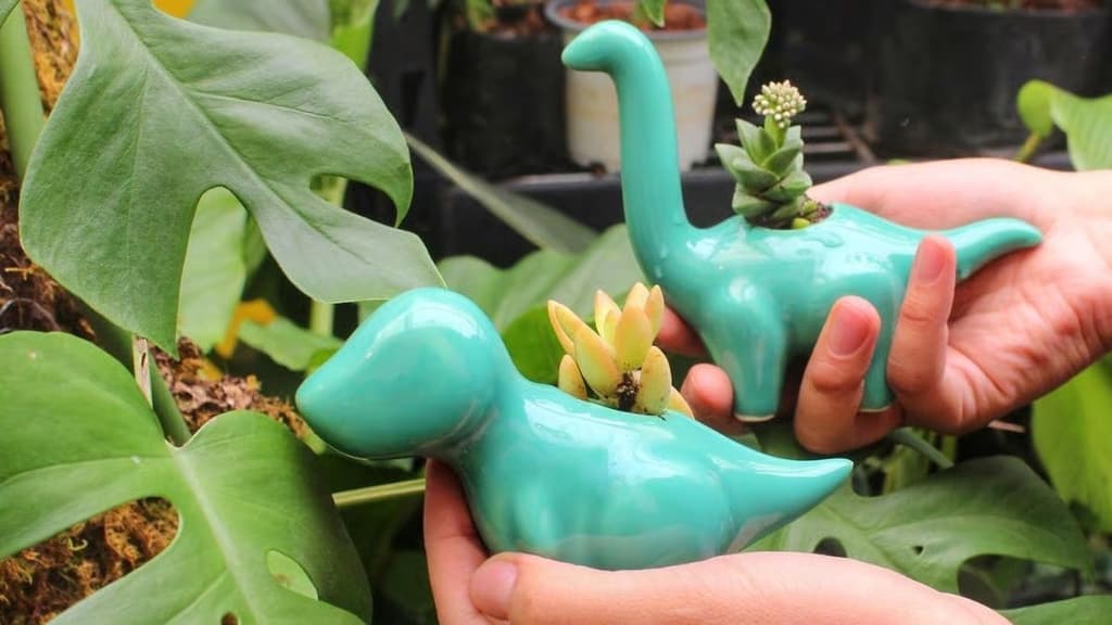 Ve a Plant Fest CDMX: plantas, diseño y GRATIS