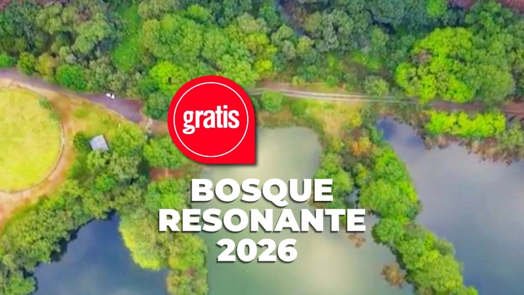 BOSQUE RESONANTE, un diálogo entre música y espacio en Casa del Lago  