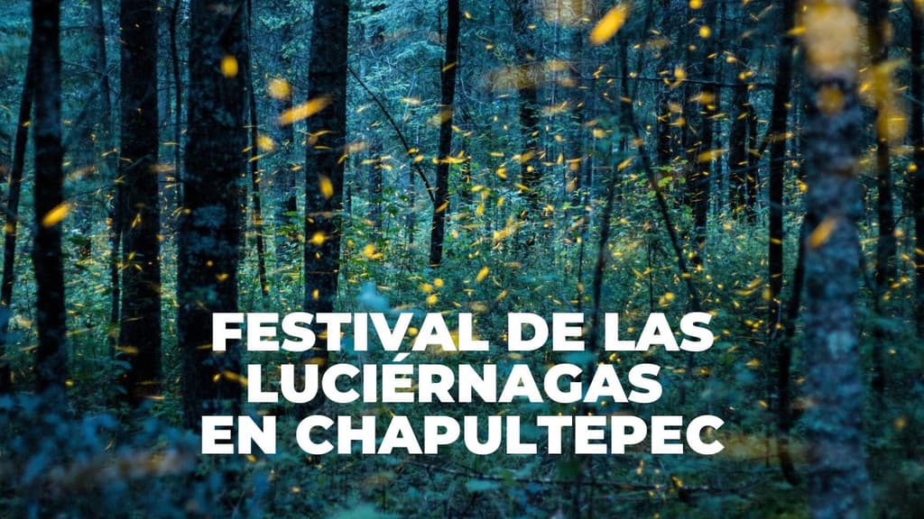 Habrá Festival de las Luciérnagas en CDMX.
