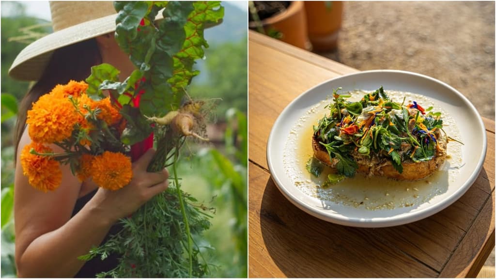 Este restaurante en Tepoztlán lleva la comida del huerto a tu mesa