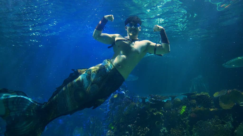 Sirenas y tritones K-pop Acuario Inbursa