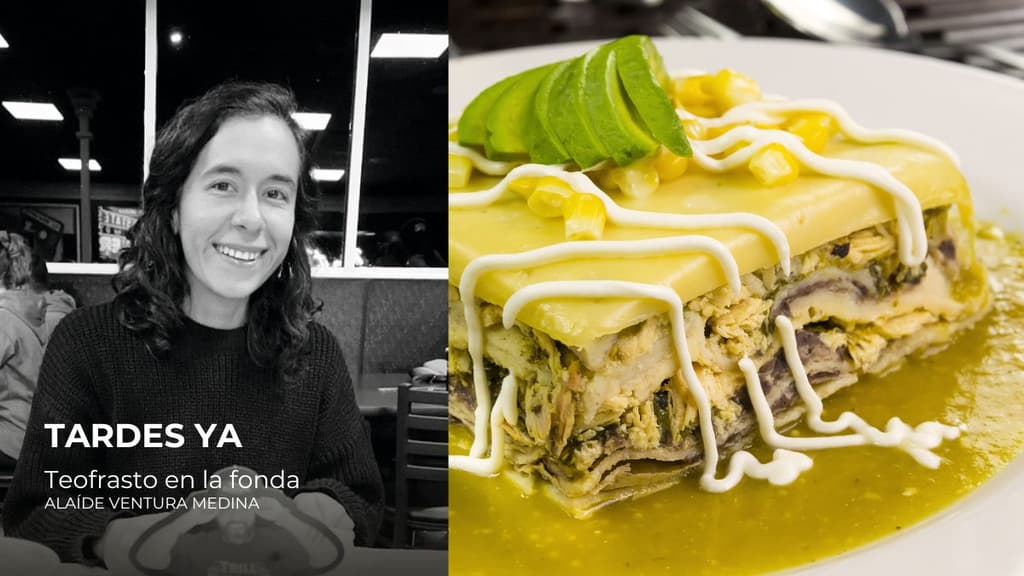 Tardes ya: Teofrasto en la fonda