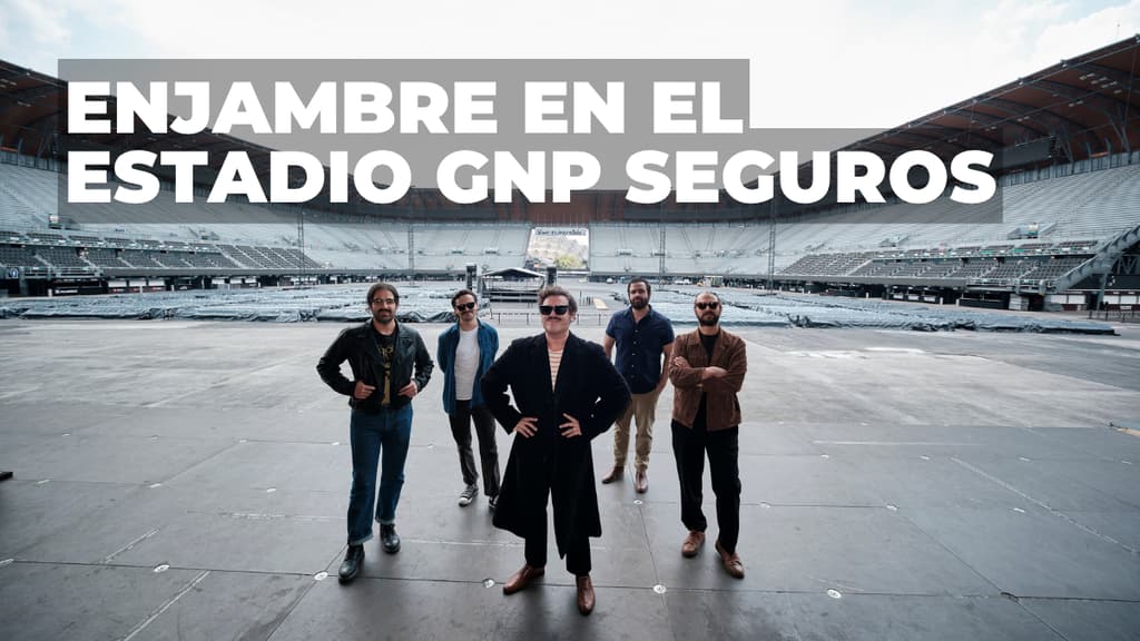 Abejas polinizan la CDMX: Cómo Enjambre convirtió el Estadio GNP en su colmena más grande