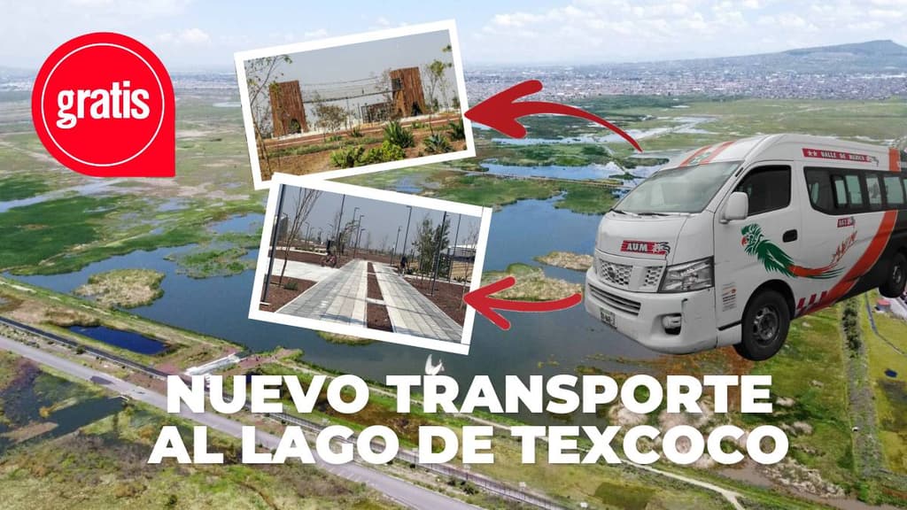 Parque Ecológico Lago de Texcoco estrena transporte gratis: checa ubicación, días y horarios