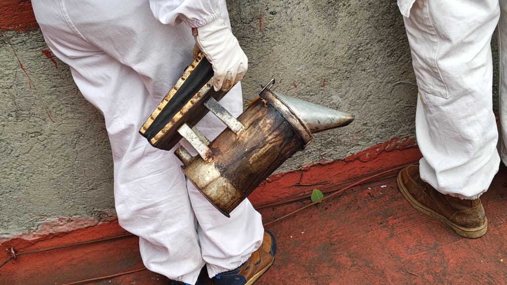 ahumador para controlar colmena de abejas antes de su reubicación