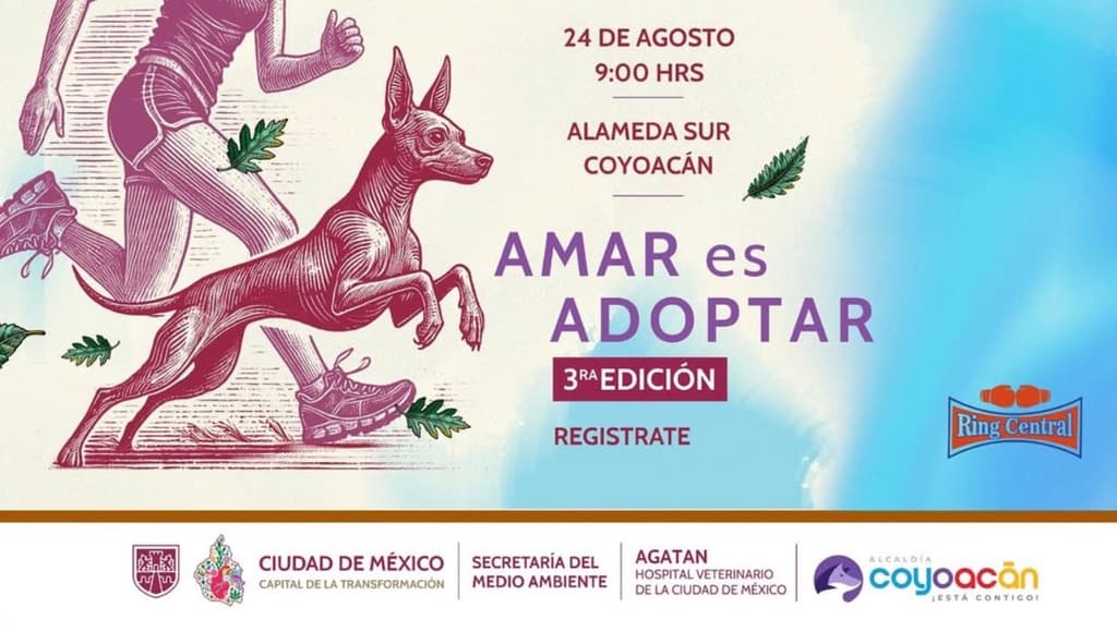 Carrera Amar es Adoptar 2025: corre con tu lomito en CDMX y apoya la adopción