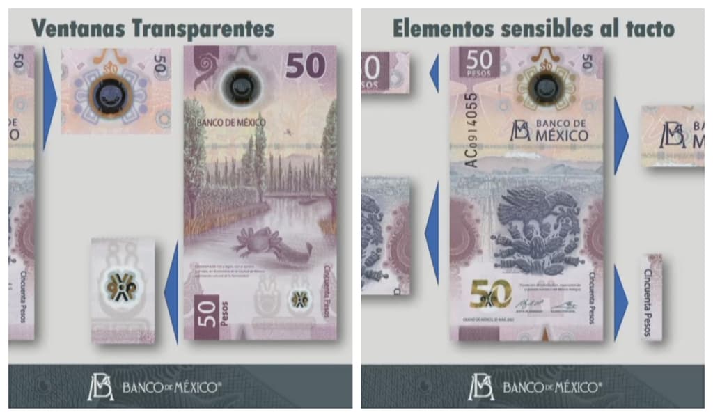 medidas del billete de 50