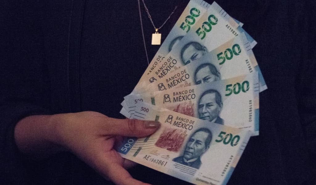 vinculaciones de jóvenes construyendo el futuro