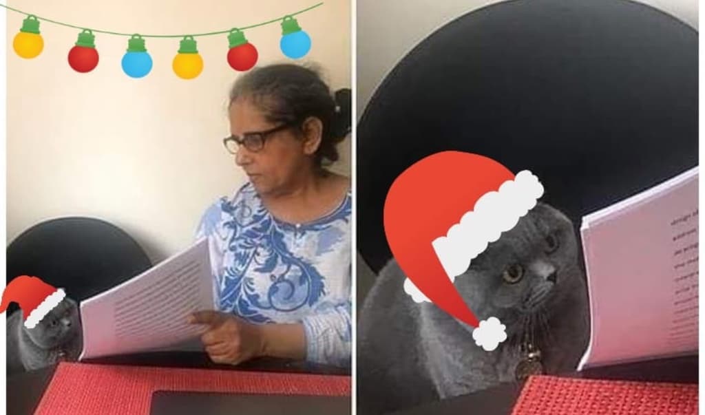 restricciones para fiestas decembrinas