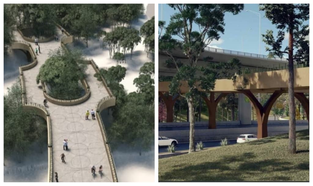 calzada flotante los pinos