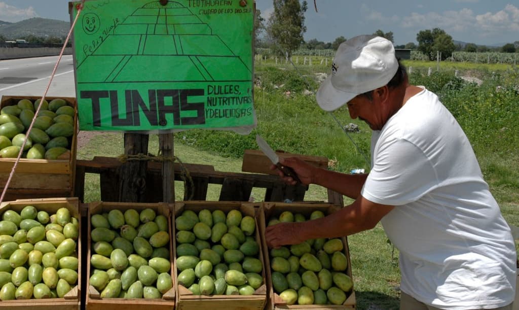 Feria Internacional de la tuna