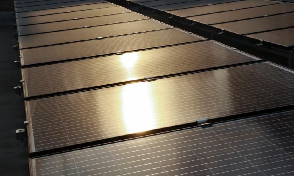 planta solar en la central de abasto