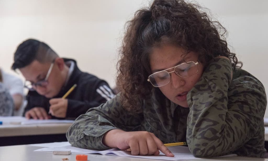 convocatoria del instituto rosario castellanos