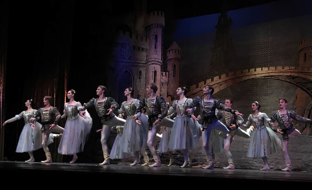 El Lago de los Cisnes