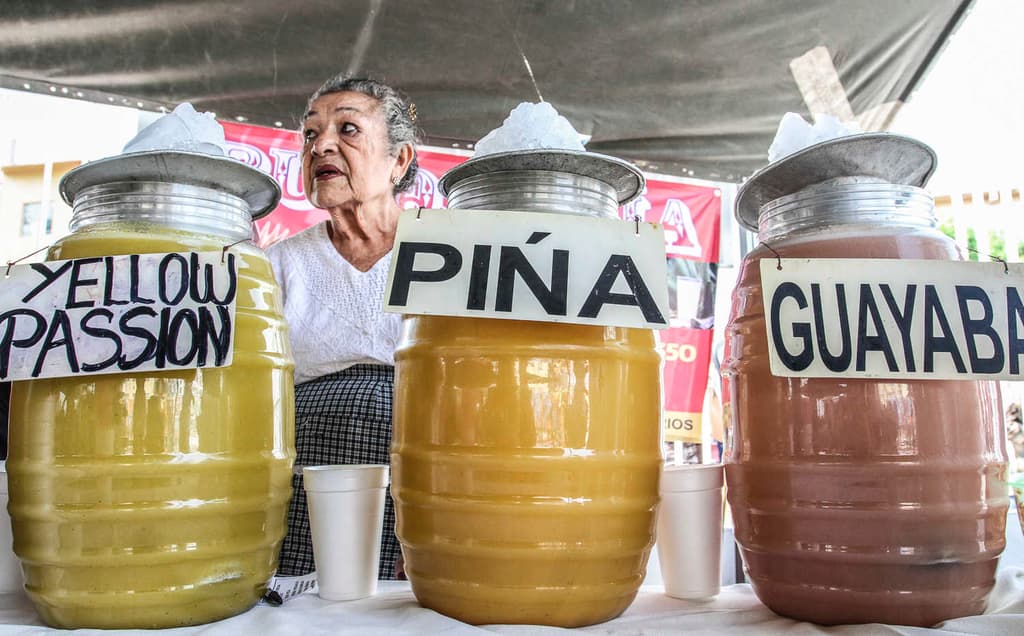 Su majestad el pulque