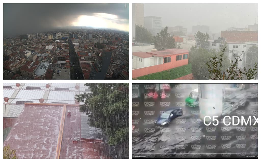 inundaciones y árboles caídos