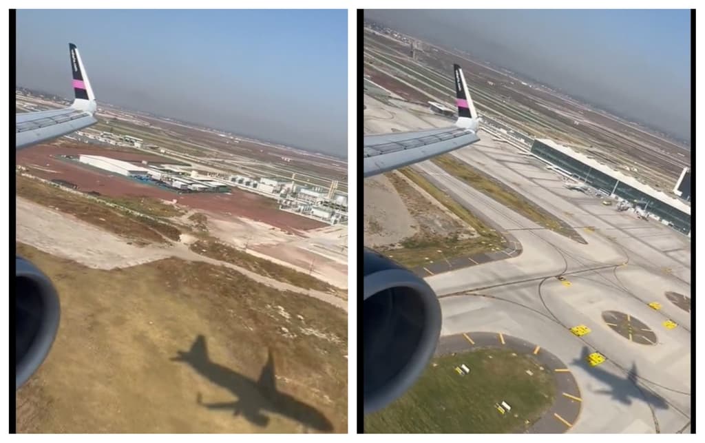 perros en la pista del aifa