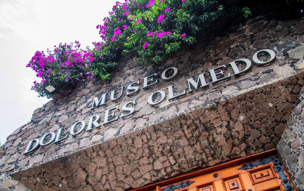 En el Museo Dolores Olmedo encontrarás obras de arte de Diego Rivera y Frida Kahlo: actividad durante el Mundial 2026 | Foto: Rafael Amed