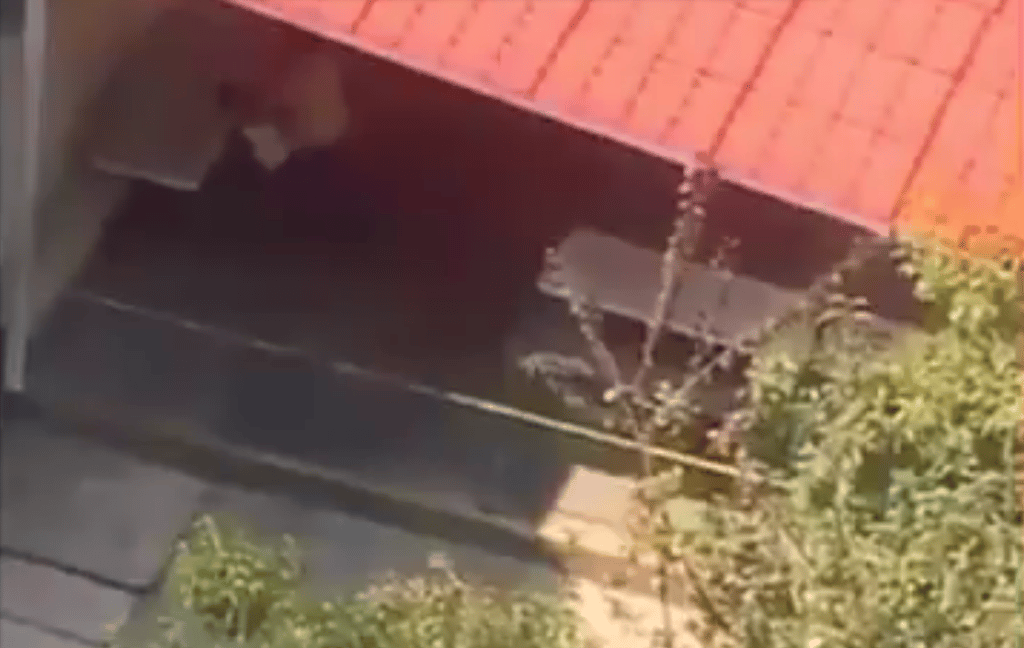 maestra ahorca a un niño