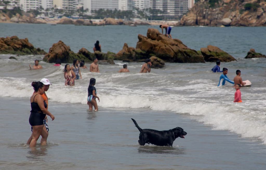 descuentos para estudiantes