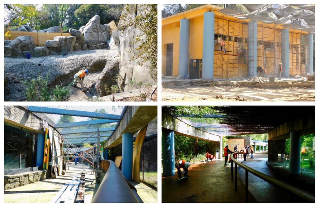 rehabilitación del zoológico de Chapultepec