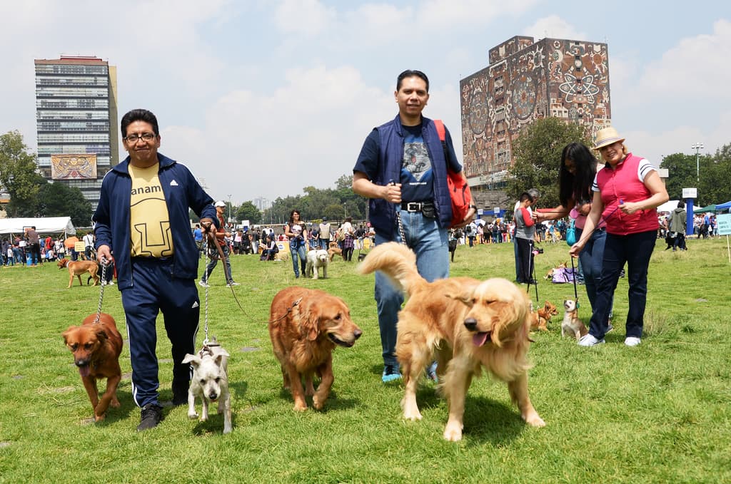 jornada de Bienestar Animal 2019