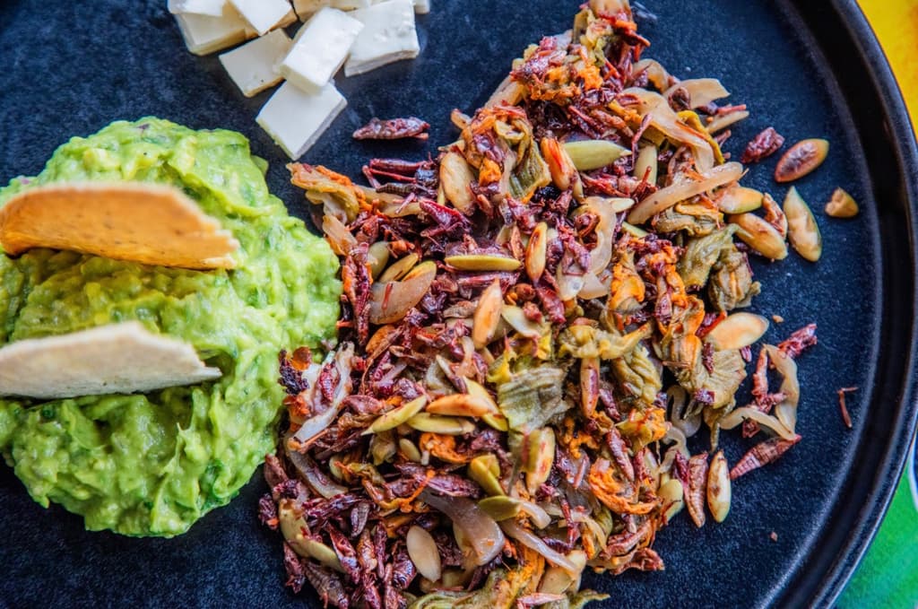 En Barra Alipús destaca la gastronomía oaxaqueña; prueba los chapulines con flor de calabaza y pepita verde | Foto: Rafael Amed