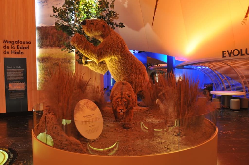 actividades gratuitas de Chapultepec