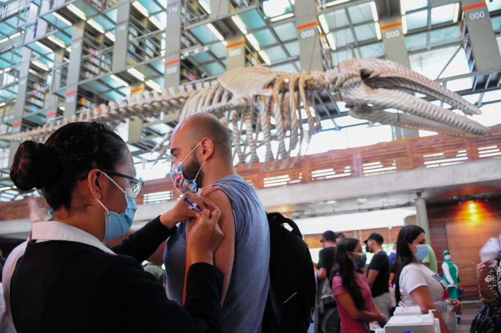 certificado de vacunación para trabajar