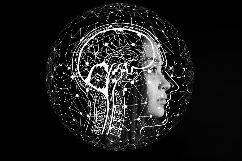 Dos libros sobre el cerebro