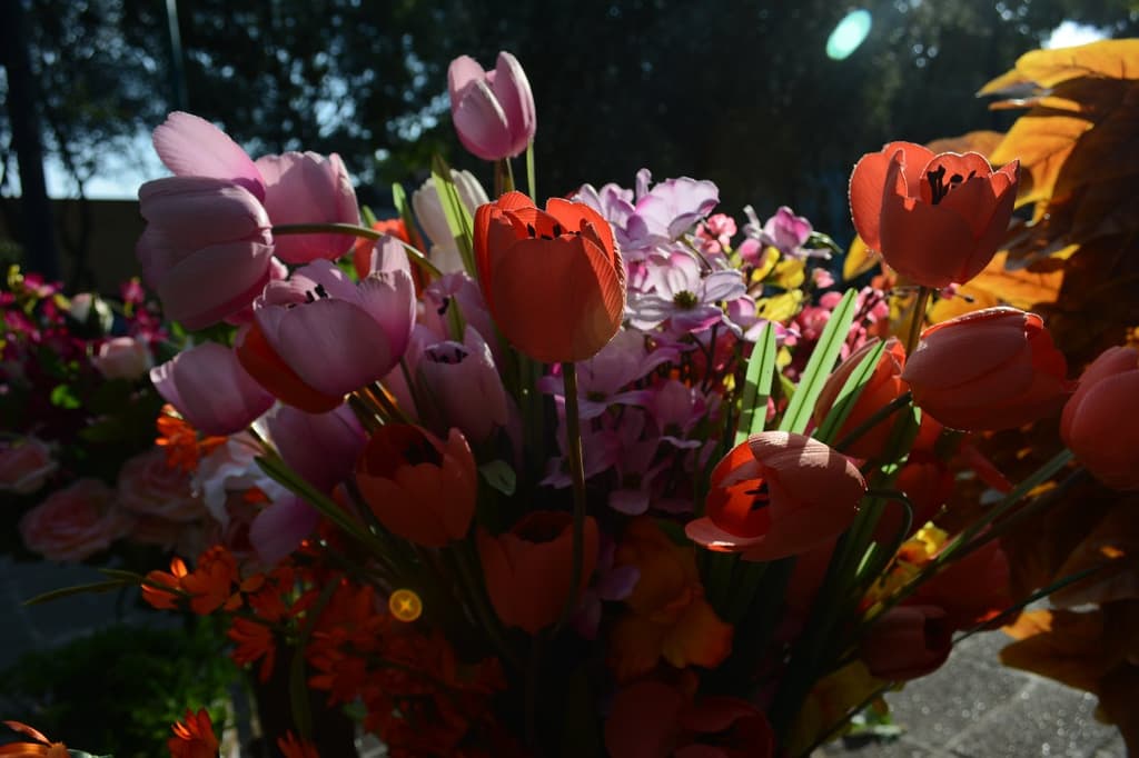 Festival de Flores de Primavera
